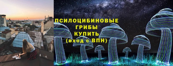 стаф Чегем