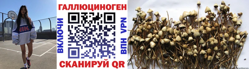 Псилоцибиновые грибы Cubensis  ссылка на мегу ССЫЛКА  Спас-Клепики 