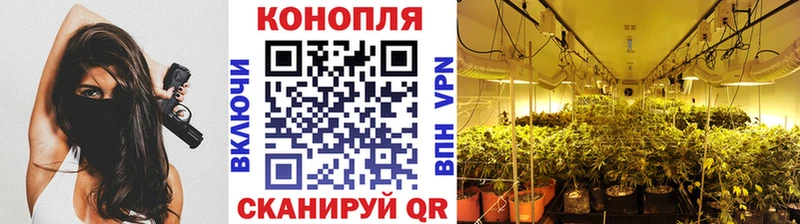 OMG ТОР  Спас-Клепики  Шишки марихуана планчик 